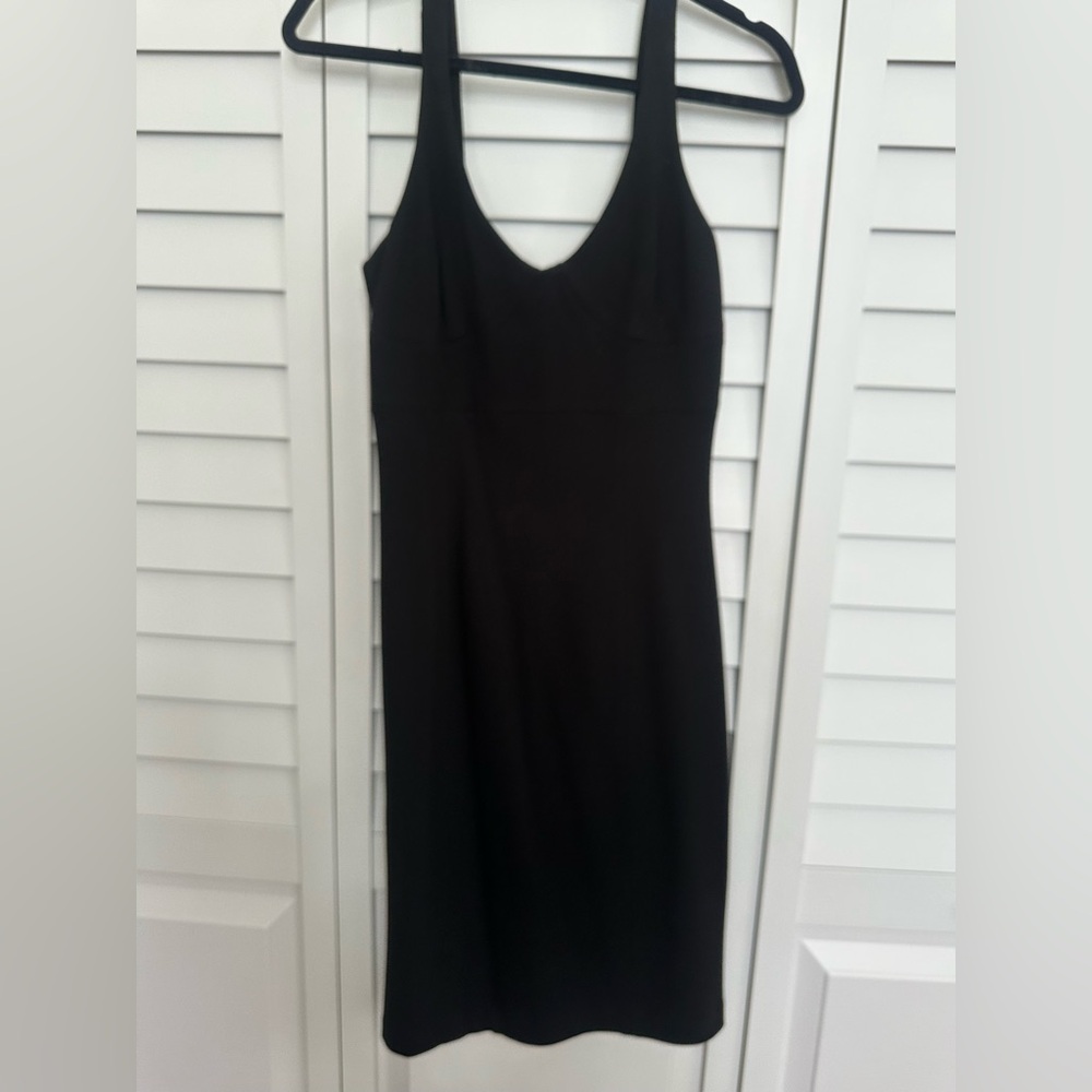 Aritzia Babaton Black Dress